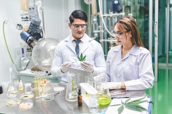 France : comment est encadrée la vente du CBD ?